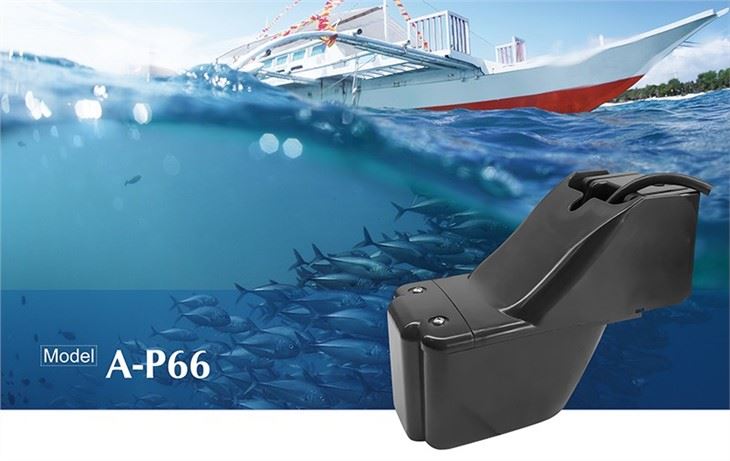 P66 Transducer